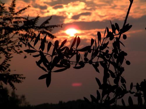 Imagen general del Club Afrodit Tatil K&ouml;y&uuml;. Foto 2