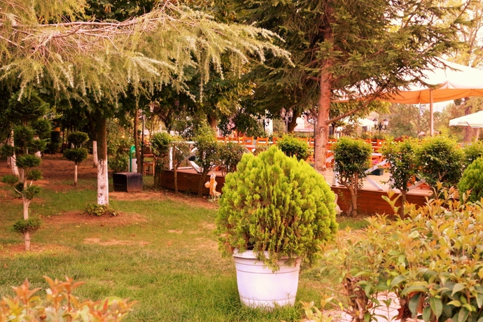 Imagen general del Club Grand Becassier. Foto 5