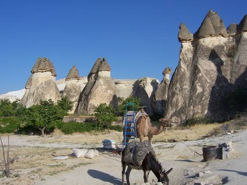 Imagen general del Coco Cave. Foto 5