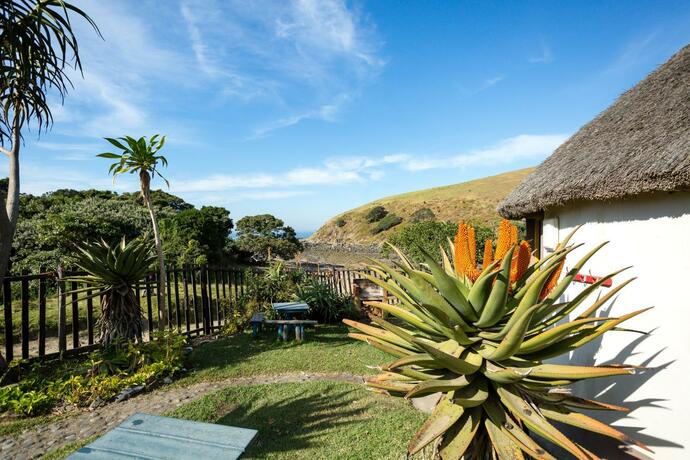 Imagen general del Coffee Shack Adventure Backpackers & Accommodation. Foto 7