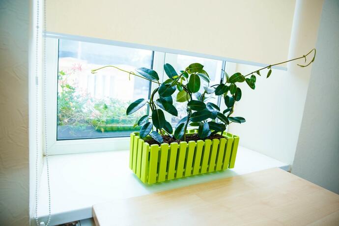 Imagen general del Coin Apartments & Poshtel. Foto 12