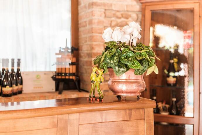 Imagen general del Col delle Rane. Foto 3