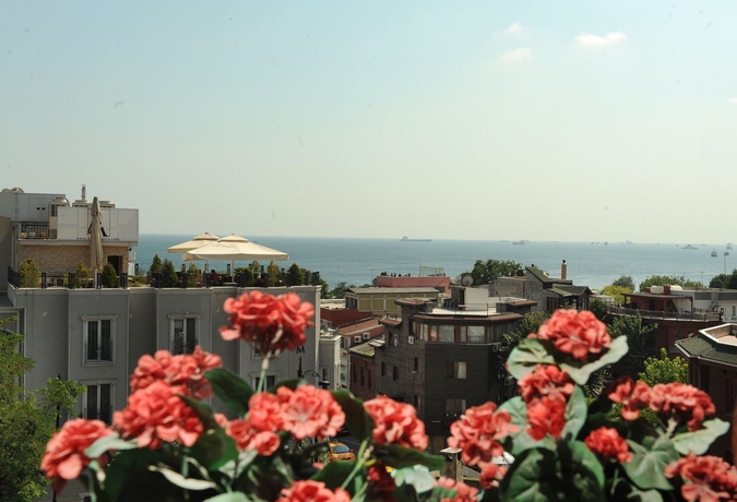 Imagen general del Coliseum, Estambul. Foto 1