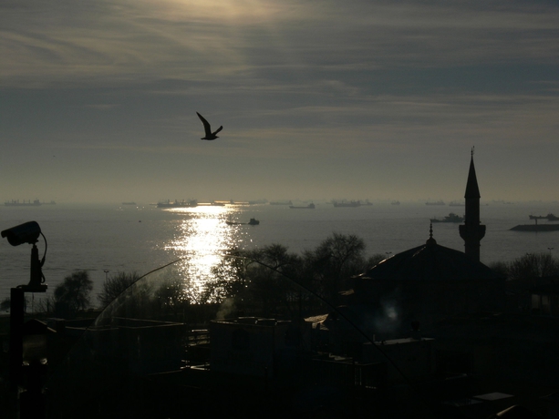 Imagen general del Coliseum, Estambul. Foto 2
