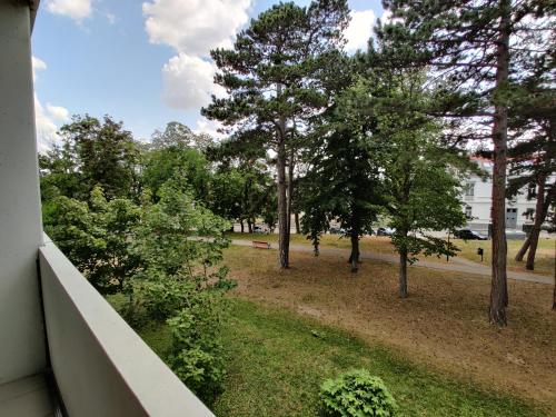 Imagen general del College Garden Hotel. Foto 14