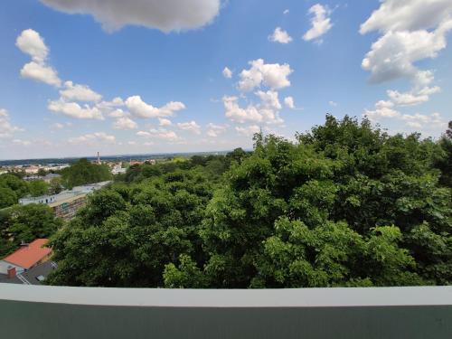 Imagen general del College Garden Hotel. Foto 15