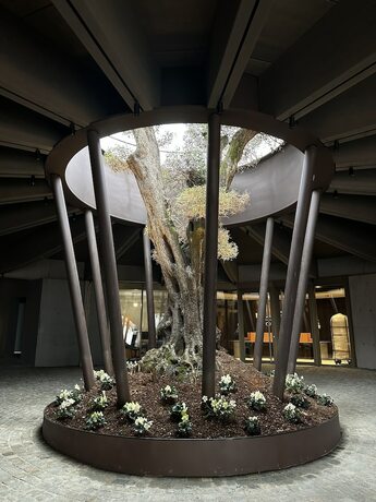 Imagen general del Collina Luxury Relais. Foto 4