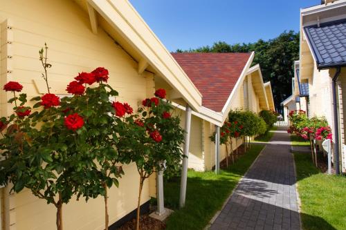 Imagen de la habitación del Collins Beach. Foto 8