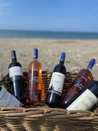 Imagen general del Colophon Beach. Foto 8