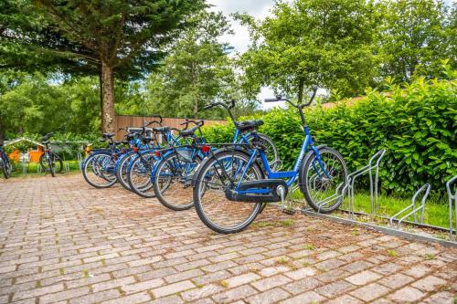 Imagen general del Comfort Rooms by EuroParcs Het Amsterdamse Bos. Foto 15
