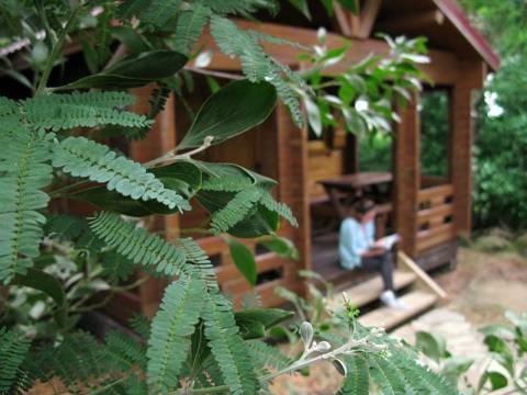 Imagen general del Complejo Rural Huerta Grande. Foto 15