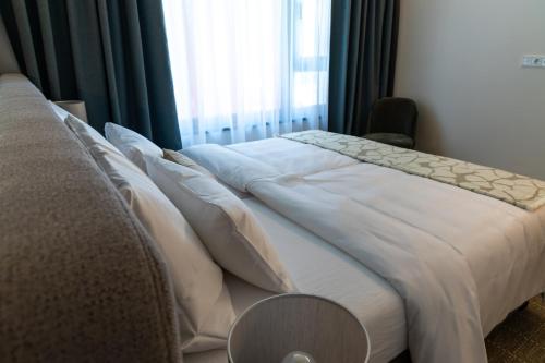 Imagen general del Congress Hotel DAS SAAL. Foto 9