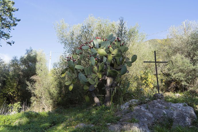 Imagen general del Convento di Stignano. Foto 13