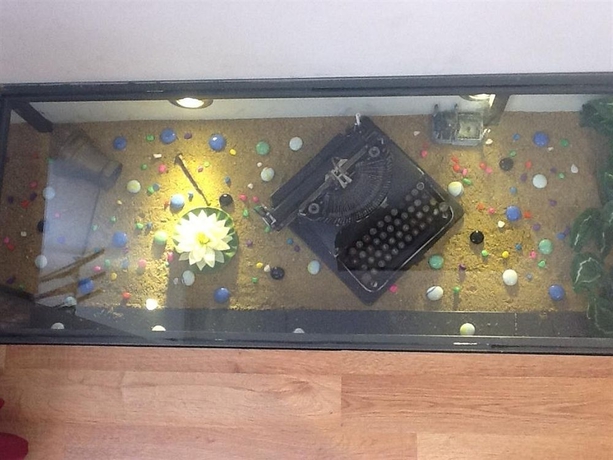 Imagen de los interiores del Corner Hot. Foto 10