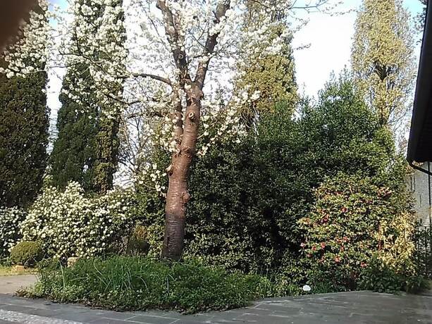 Imagen de la habitación del Corte San Ruffillo-Azienda Agrituristica. Foto 17