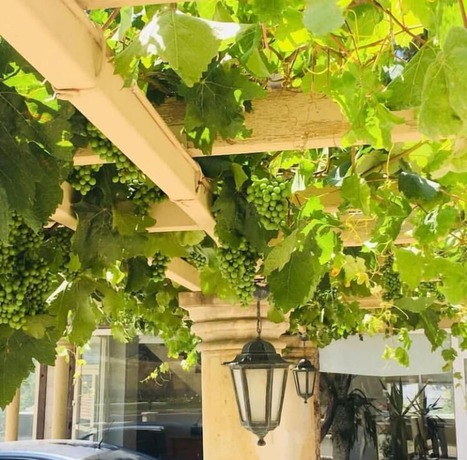 Imagen general del Coskuntuna Hotel. Foto 2