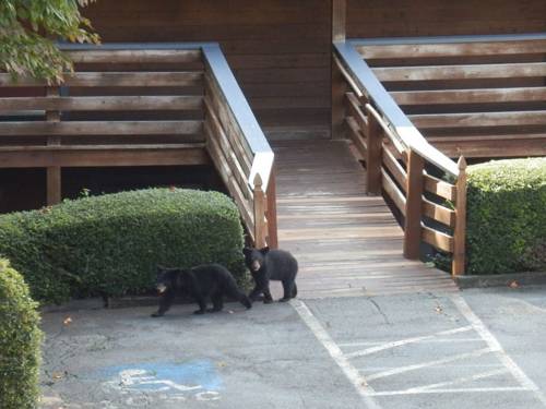 Imagen general del Country Hideaway At Mountain Lakes Resort. Foto 1