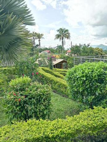Imagen general del Country House, La Vega. Foto 5