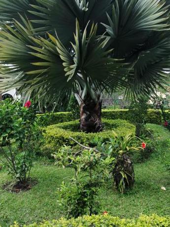 Imagen general del Country House, La Vega. Foto 8