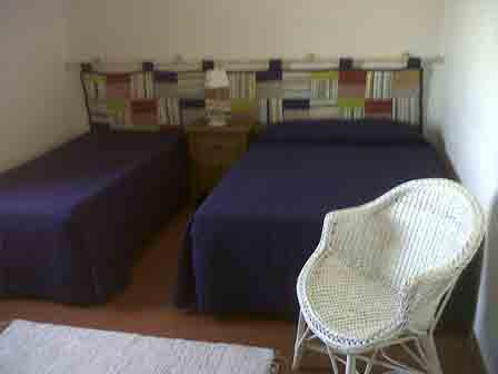 Imagen general del Courela do Salgueiro. Foto 4