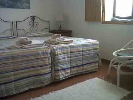 Imagen general del Courela do Salgueiro. Foto 5