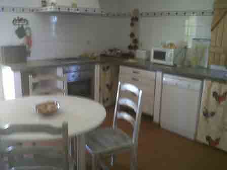 Imagen general del Courela do Salgueiro. Foto 7