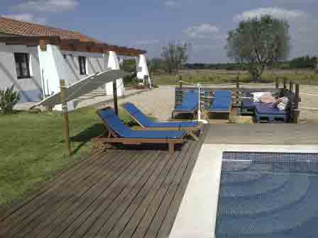 Imagen general del Courela do Salgueiro. Foto 8