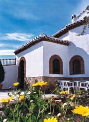 Imagen de los exteriores del Cuevas de Medinaceli. Foto 4