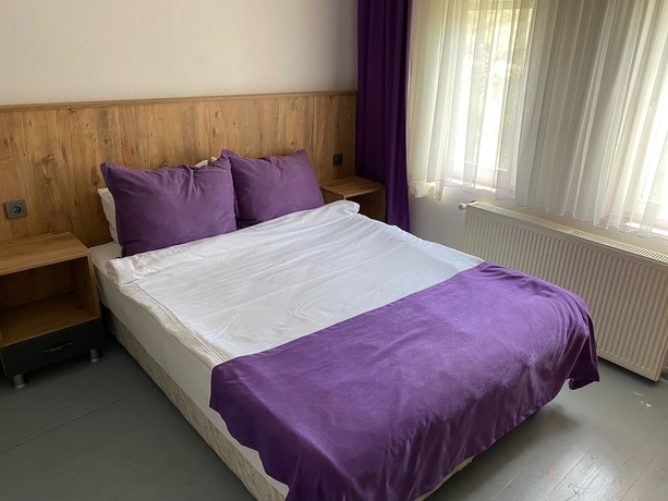 Imagen de la habitación del Cunda Asiyan Butik Otel. Foto 9