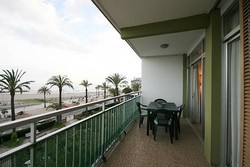 Imagen general del Cunit Palm Beach. Foto 9