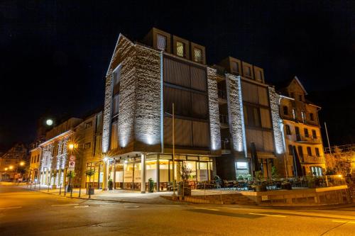Imagen general del DAS WESEL - DEIN HOTEL AM RHEIN. Foto 12