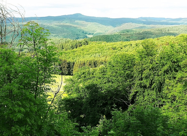 Imagen general del DF am Ring N&uuml;rburg. Foto 4
