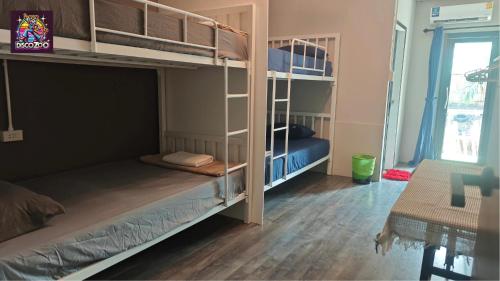 Imagen de la habitación del DISCO ZOO Bar & Hostel. Foto 20