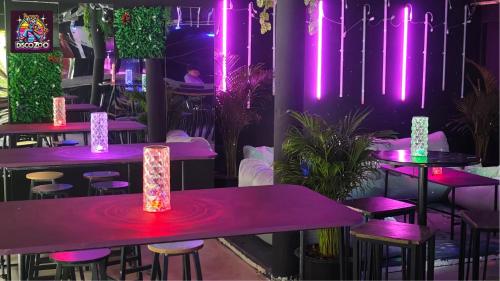 Imagen general del DISCO ZOO Bar & Hostel. Foto 12