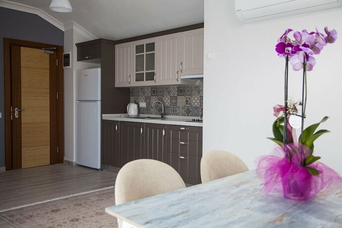 Imagen general del Dadya Apart Otel. Foto 6