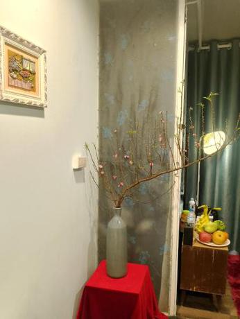 Imagen general del Dalat Inn ez home. Foto 3