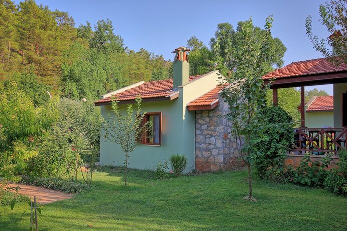 Imagen de la habitación del Dalya Life Hotel. Foto 20