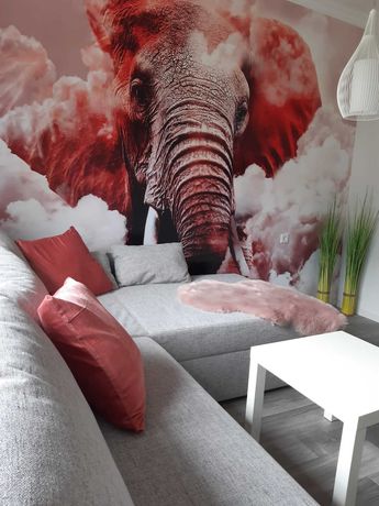 Imagen de la habitación del DandB staycation Resort. Foto 6