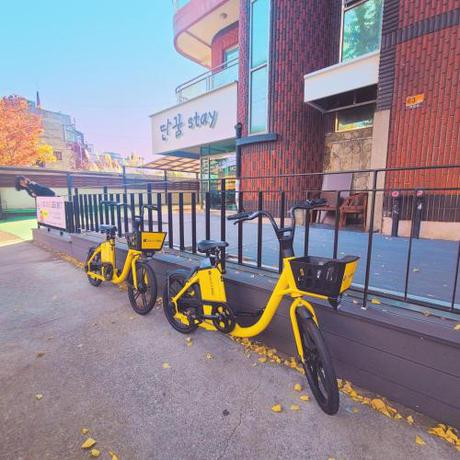 Imagen general del Danggum Stay. Foto 2