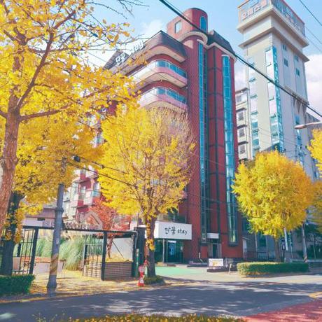 Imagen general del Danggum Stay. Foto 5