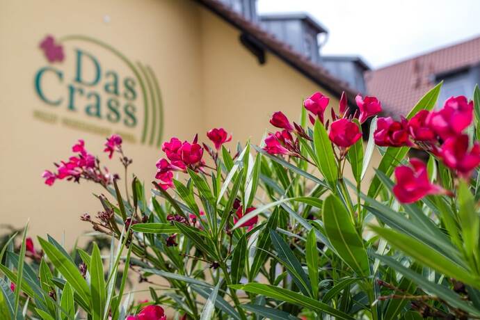 Imagen general del Das Crass. Foto 4