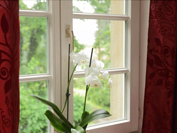 Imagen de la habitación del Das Dycker Weinhaus. Foto 15