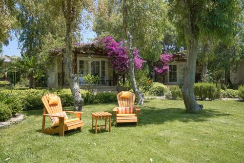 Imagen general del Datça Dirik Surf Beach Hotel. Foto 10