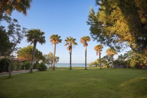 Imagen general del Datça Dirik Surf Beach Hotel. Foto 13