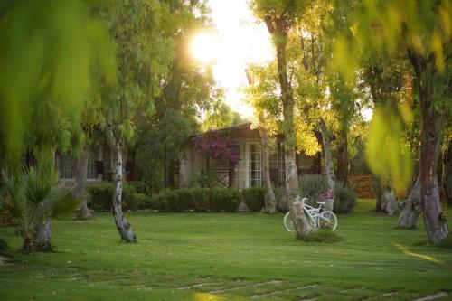 Imagen general del Datça Dirik Surf Beach Hotel. Foto 15