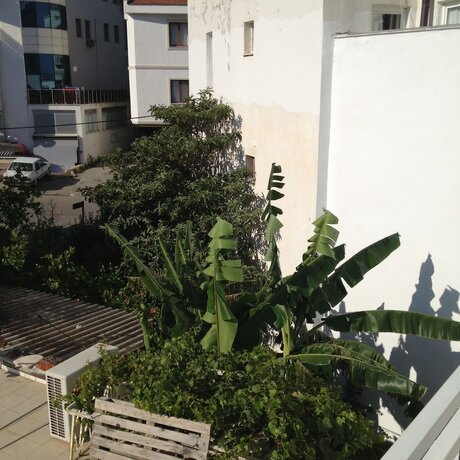 Imagen general del Dat&ccedil;a Merkez Apart. Foto 8