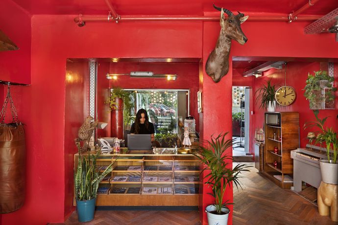 Imagen general del Dave Gordon - Son Of A Brown. Foto 2