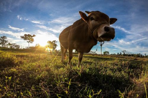 Imagen general del Ddr Deng Dao Ren Guesthouse. Foto 6