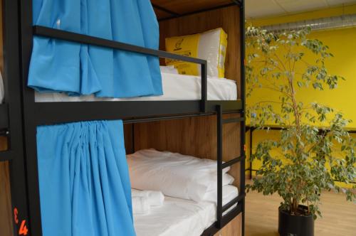 Imagen general del Debod Hostel. Foto 12