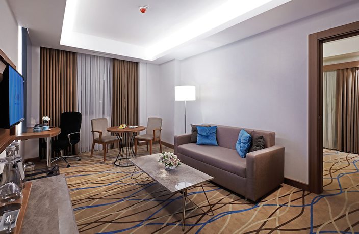 Imagen de la habitación del Dedeman Kayseri. Foto 7